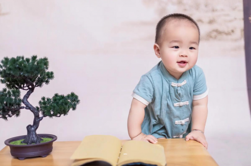 沧县可爱的企鹅宝宝